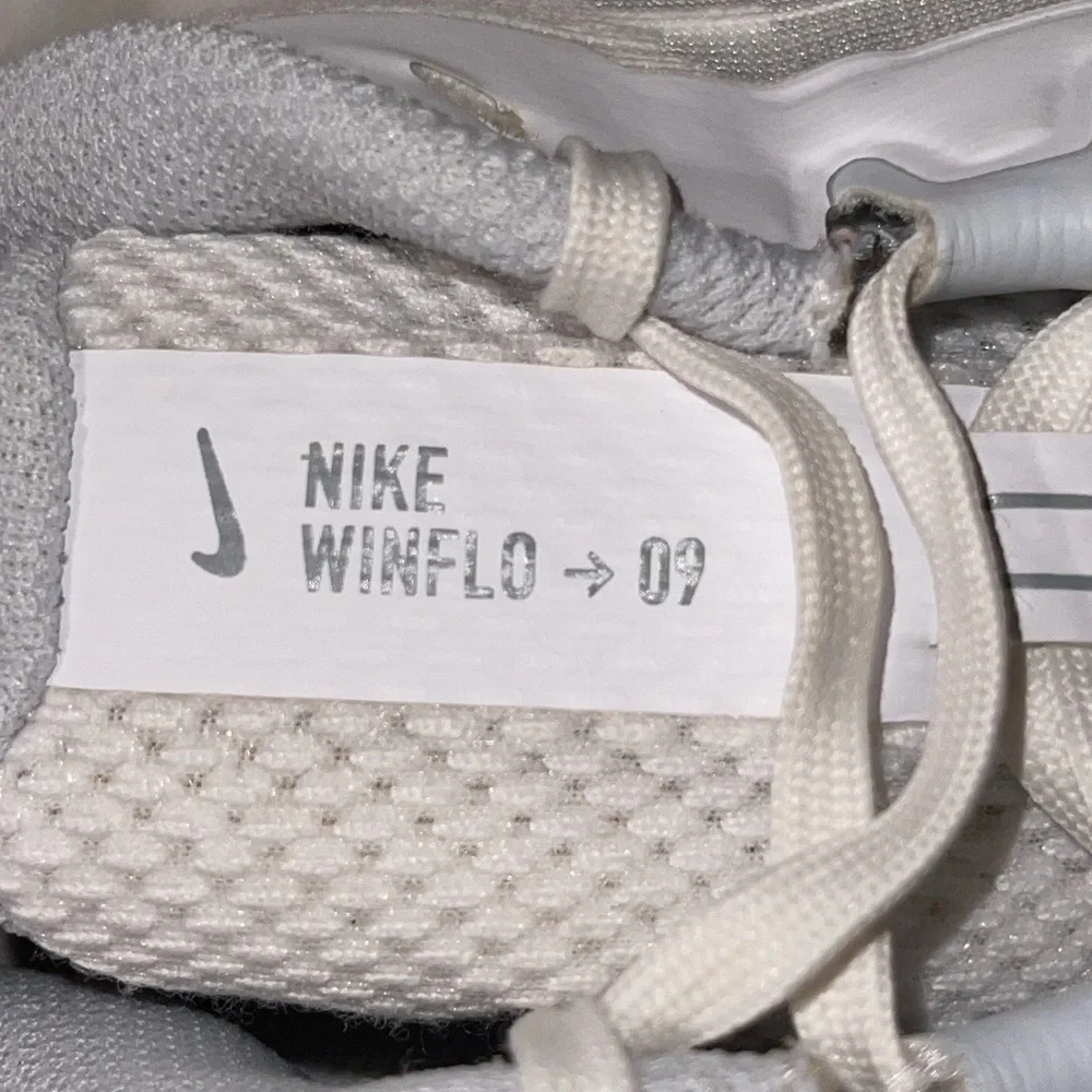Nike Winflo 9 Running | Size 10 Women